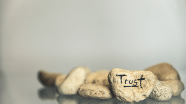 the importance of trust